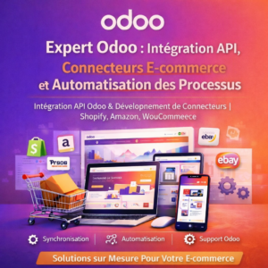 Intégration API Odoo & Développement de Connecteurs
